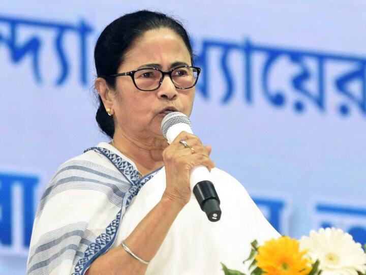 West Bengal CM Mamata Banerjee attacks BJP over violence in Hooghly and howrah West Bengal Violence: ममता बनर्जी का BJP पर हमला, 'वे बाहर से गुंडे लाए, मुझे हर वक्त अलर्ट रहना होता है क्योंकि...'