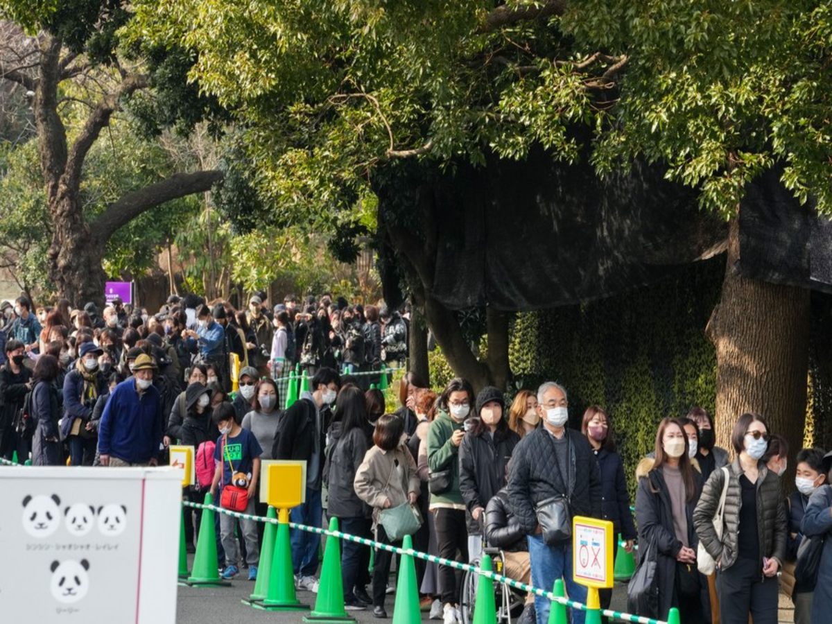 Meet The Japanese Man Who Visited Zoo For 12 Years Just To Click Panda Pictures Everyday