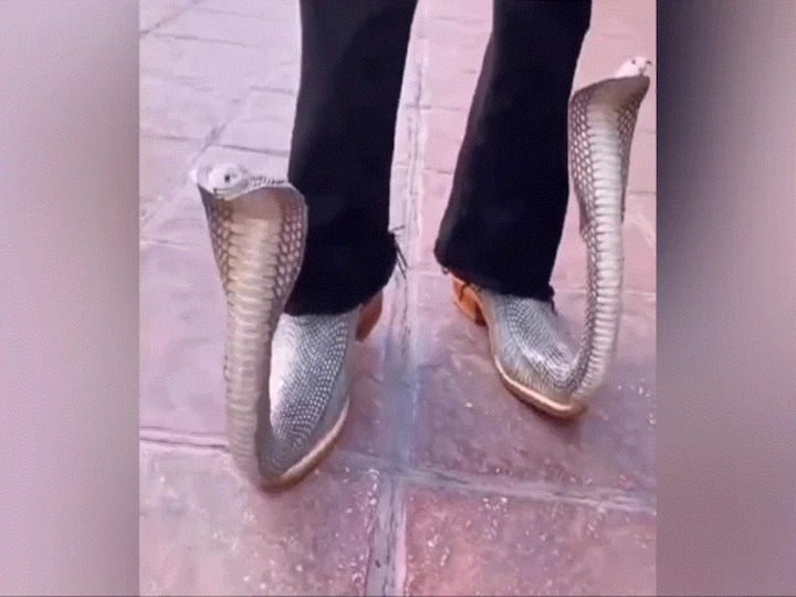 Harsh Goenka Shares Video Of Snake-Shaped Shoes Netizens React With Hilarious Tweets Harsh Goenka Shares Video Of Snake-Shaped Shoes, Netizens React With Hilarious Tweets