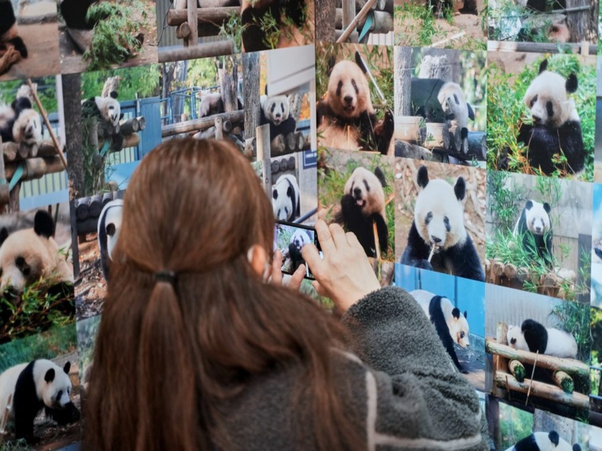 Meet The Japanese Man Who Visited Zoo For 12 Years Just To Click Panda Pictures Everyday