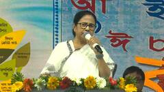 'সব ভাষাকে সম্মান জানাতেই এখানে আসা', শিলিগুড়িতে সরকারি পরিষেবা অনুষ্ঠানে মমতা