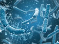 सिर्फ हाथ मिलाने से भी हो सकता है एडिनोवायरस का खतरा...जानिए इसके लक्षण और बचने के उपाय