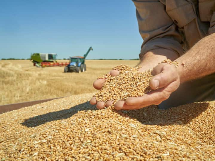 Centre To Sell 20 Lakh Tonnes Of Wheat In Open Market From Buffer Stock To Cool Prices Of Atta Centre To Sell 20 Lakh Tonnes Of Wheat In Open Market From Buffer Stock To Cool Prices Of Atta