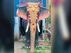 Robotic Elephant: 11 அடி உயரம்.. 800 கிலோ எடை.. கேரள கோயிலில் சேவையாற்ற வருகிறது ரோபோடிக் யானை