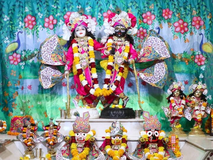 phulera dooj 2023 Jaipur holi festival flowers on Lord Krishna in Govind Dev Ji Temple ANN Phulera Dooj: फुलेरा दूज पर गोविंद देव जी मंदिर में छाया उत्साह, भगवान कृष्ण पर हुई फूलों की बारिश