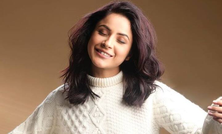 ছটফটে স্বভাব, শিশসুলভ হাসি এবং সারল্য, মন কেড়েছিল সকলের। চোখের সামনে অখ্যাত থেকে শেহনাজ গিলকে বিখ্যাত হতে দেখেছিল গোটা দেশ।