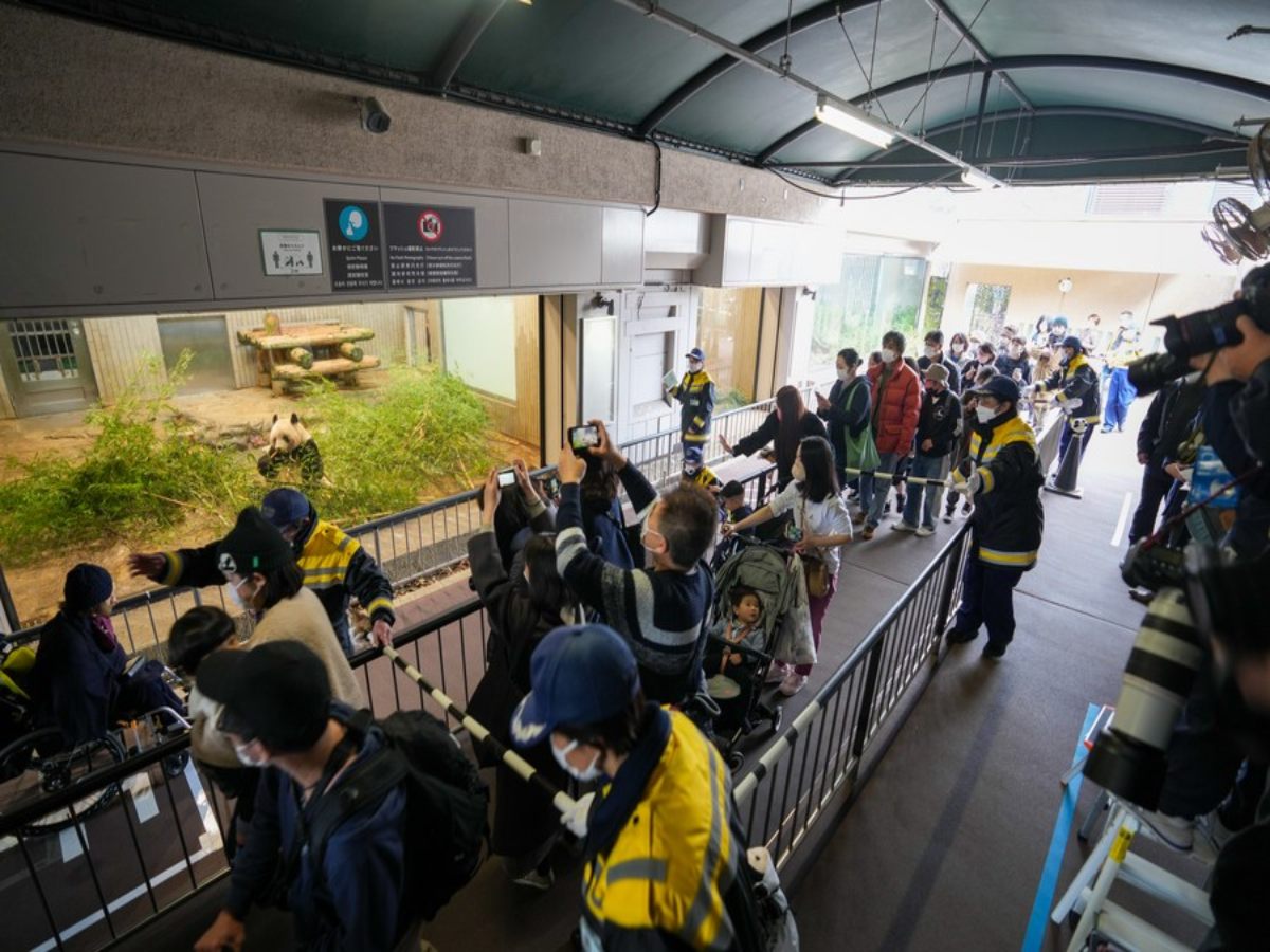 Meet The Japanese Man Who Visited Zoo For 12 Years Just To Click Panda Pictures Everyday