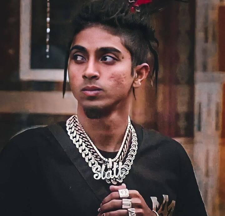 एमसी स्टॅन हॉलिवूडमध्ये देखील काम करणार असल्याचं म्हटलं जात आहे.