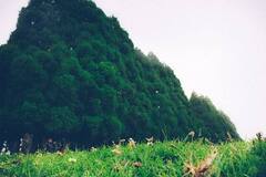 Travelling Tips: मार्च में फैमिली के साथ ट्रिप पर जाने की है प्लानिंग, तो इन जगहों की खूबसूरती बाहें फैलाए कर रही है आपका इंतज़ार