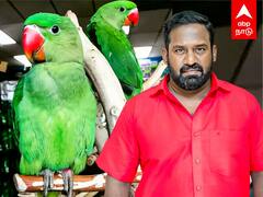 Robo Shankar Parrot News : கிளிகள் வளர்த்த விவகாரம்..சிக்கலில் ரோபோ சங்கர்.. அபராதம் விதித்த அதிகாரி