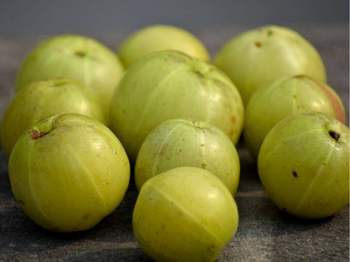 Amla Risk: आंवले में छिपे हैं कई गुण, मगर इन 5 लोगों को खाते वक्त बरतनी चाहिए सावधानी Amla Health Benefits And Risk These People Should Be Cautious Of Eating Gooseberry Amla Risk: आंवले में छिपे हैं कई गुण, मगर इन 5 लोगों को खाते वक्त बरतनी चाहिए सावधानी
