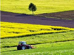 ਆਖ਼ਰ ਟਰੈਕਟਰਾਂ ਦੇ ਅਗਲੇ ਟਾਇਰ ਛੋਟੇ ਅਤੇ ਪਿਛਲੇ ਟਾਇਰ ਕਿਉਂ ਹੁੰਦੇ ਹਨ ਵੱਡੇ ? ਜਾਣੋ ਕਾਰਨ