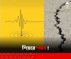 যে কোনও সময় কেঁপে উঠতে পারে আমাদের পায়ের তলার মাটিও, পরিস্থিতি হতে পারে ভয়াবহ !