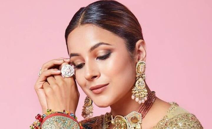 কিন্তু অল্প সময়ের মধ্যেই নিজেকে বদলে ফেলেছেন শেহনাজ। নিত্যদিনের চুলচেরা বিশ্লেষণ এড়াতেই বোধহয়, গায়ে অদৃশ্য এক রক্ষাকবচ জড়িয়ে নিয়েছেন তিনি। তাই কাজের বাইরে ব্যক্তিগত জীবন নিয়ে ইদানীং আর কথা বলতে দেখা যায় না তাঁকে।