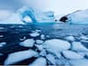Antarctic Sea Ice Falls To New Record Low Level, Expected To Drop Further. Know The Science Behind It