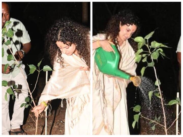 Kangana Ranaut participated in the Green India Challenge, initiated by Rajya Sabha MP Santosh Kumar. On this occasion, Kangana said that she was happy to participate in this programme.