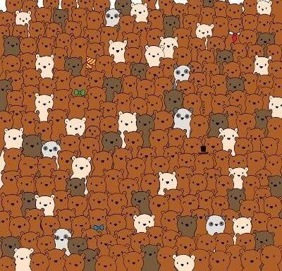 Optical Illusion: फोटो में छिपे 3 नारियल को कम लोग ढूंढ पाते हैं... सिर्फ 15 सेकंड है आपके पास