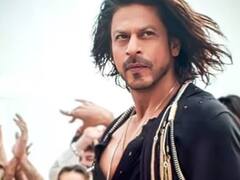 Pathaan : 'पठाण' काय ऐकत नाय... भारतात पार केला 500 कोटींचा टप्पा