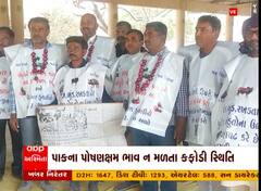 Bhavnagar: ડુંગળીના સરખા ભાવ ન મળતા ખેડૂતોમાં આક્રોશ, જો સમસ્યાનો નિવેડો નહીં આવે તો...