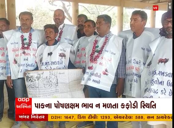 Bhavnagar: ડુંગળીના સરખા ભાવ ન મળતા ખેડૂતોમાં આક્રોશ, જો સમસ્યાનો નિવેડો નહીં આવે તો...