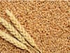 Wheat Price : ਬਾਜ਼ਾਰ 'ਚ 20 ਲੱਖ ਟਨ ਹੋਰ ਕਣਕ ਦੀ ਸਪਲਾਈ ਕਰੇਗੀ ਸਰਕਾਰ, ਆਟੇ ਸਮੇਤ ਇਹ ਚੀਜ਼ਾਂ ਵੀ ਹੋ ਸਕਦੀਆਂ ਹਨ ਸਸਤੀ