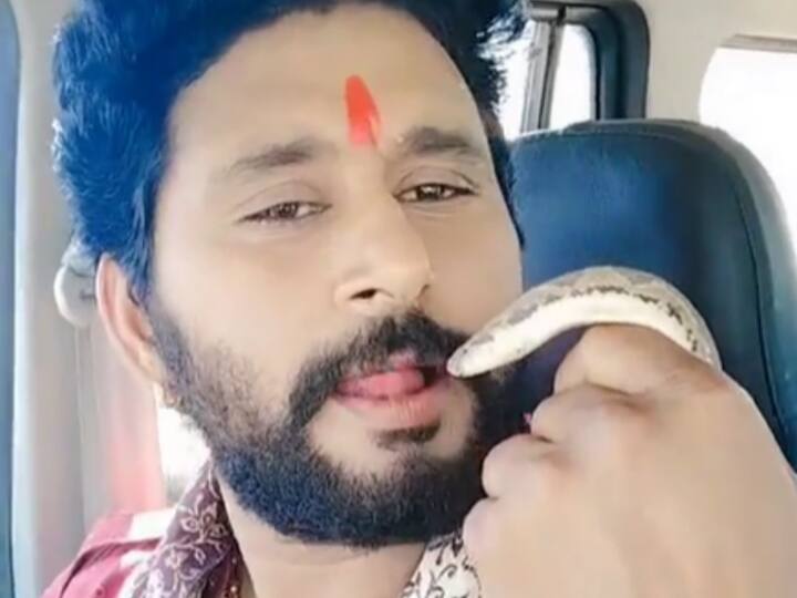 Bhojpuri star Yash Kumar was seen kissing a snake watch the viral video here Yash Kumar Video: माथे पर तिलक लगाए सांप को किस करते दिखे भोजपुरी सुपरस्टार यश कुमार, वीडियो देख आप भी रह जाएंगे दंग
