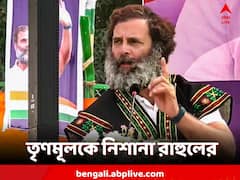 গোয়ার মতো মেঘালয়েও বিজেপিকে ক্ষমতায় আনা তৃণমূলের লক্ষ্য: রাহুল