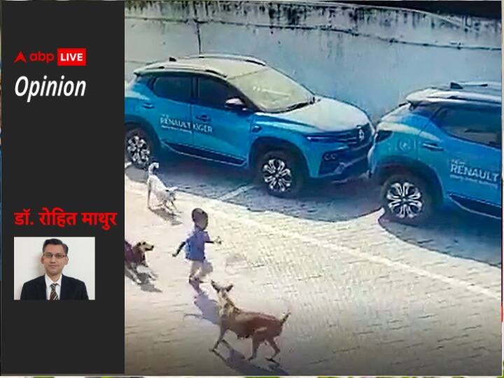 Completely removing stray dogs is not possible, learn how to reduce the