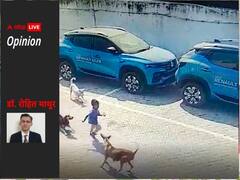 आवारा कुत्तों को पूरी तरह से हटाना नहीं है संभव, जानें खतरे को कैसे कर सकते हैं कम