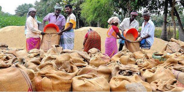 Thanjavur: Paddy bags piled up at procurement stations due to shortage of trucks TNN தஞ்சை: லாரிகள் தட்டுப்பாடு காரணமாக கொள்முதல் நிலையங்களில் தேங்கிக்கிடக்கும் நெல் மூட்டைகள்