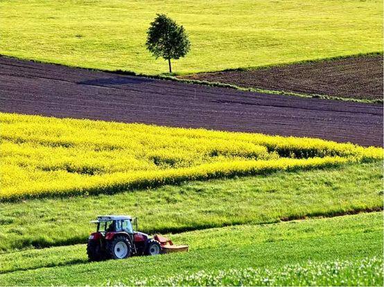 Tractor: ਕਿਸਾਨ ਖੇਤੀ ਵਿੱਚ ਟਰੈਕਟਰ ਦੀ ਮਹੱਤਤਾ ਨੂੰ ਚੰਗੀ ਤਰ੍ਹਾਂ ਸਮਝਦੇ ਹਨ। ਤੁਸੀਂ ਵੀ ਟਰੈਕਟਰ ਦੇਖਿਆ ਹੋਵੇਗਾ ਪਰ ਕੀ ਤੁਸੀਂ ਕਦੇ ਸੋਚਿਆ ਹੈ ਕਿ ਇਸ ਦਾ ਡਿਜ਼ਾਈਨ ਬਾਕੀ ਵਾਹਨਾਂ ਤੋਂ ਵੱਖਰਾ ਕਿਉਂ ਹੈ?