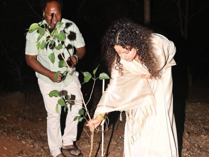 Bollywood Actress Kangana Ranaut participated in the Green India Challenge on Wednesday in Hyderabad by planting saplings.(Image source: special arrangement)