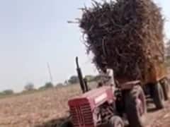 12 टन वजन खींच ले गया 80 दशक का पुराना` महिंद्रा ट्रैक्टर, आनंद महिंद्रा ने वीडियो शेयर कर कही ये बात