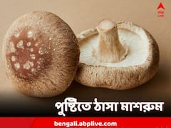সুস্বাদু মাশরুম, গুণের তালিকায় রয়েছ কী কী?