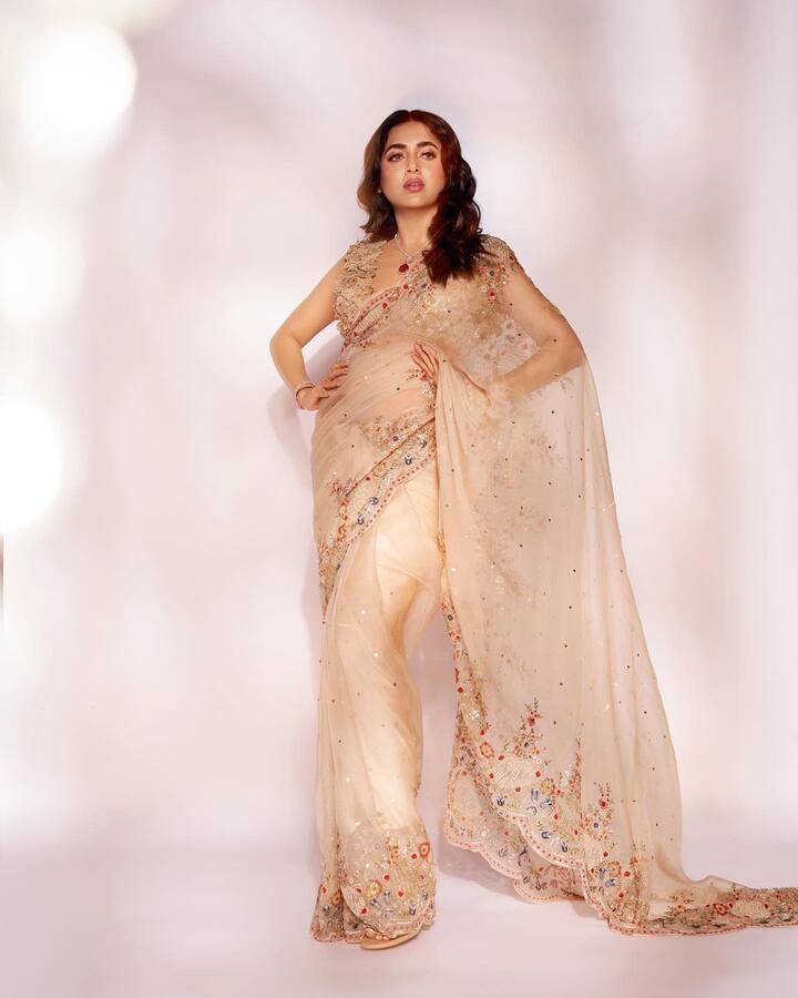 Her saree was made of net with colourful embellishments at its borders. It also had small motifs in the body. (Image Source: Instagram)
