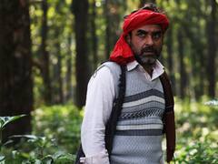 न्यूकमर्स को पंकज त्रिपाठी की सलाह, 'रोल की तैयारी में दो-तीन दिन लेकिन एक्टर बनने में लगते हैं 25-30 साल...'