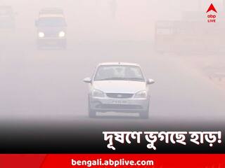 Air Pollution Effects: বায়ুদূষণ বাড়লে কমছে Bone Density, ক্ষয়ে যাচ্ছে হাড়, দাবি গবেষণায়