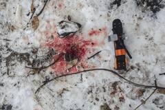 Russia-Ukraine War: One Year Of Unabated Destruction And Devastation — In Pics