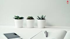 Office Desk Decoration: অফিসে কাজের চাপ ? মুড ভাল রাখতে ডেস্ককে সাজান এই ভাবে