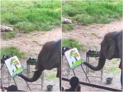 Video: हाथी ने अपनी सूंड में ब्रश उठाई और बना दी शानदार पेंटिंग, आप भी देखें उस टाइम का वीडियो