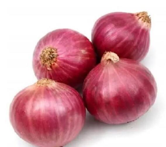 Onion  : कांद्याच्या दरात घसरण, किसान सभा आक्रमक