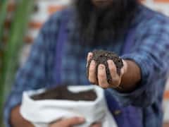 मिट्टी, चॉक, बर्फ खाने का करता है मन? कहीं आप इस खतरनाक बीमारी से पीड़ित तो नहीं!