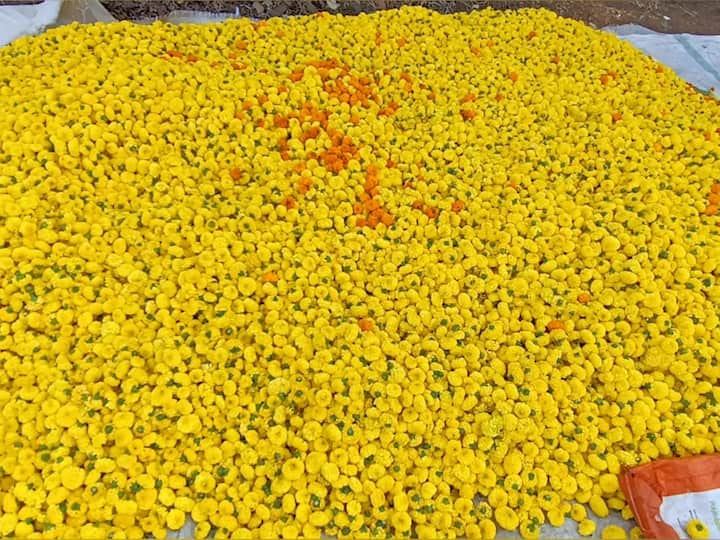 गावातील 25 ते 30 शेतकऱ्यांनी एकत्र येत 50 ते 60 एकर पेक्षाही जास्त क्षेत्रावर फुलशेती आणि आंतरपीक म्हणून भाजीपाला लागवड करत जिल्ह्यात एक शेतीत नवीन आदर्श निर्माण केला आहे