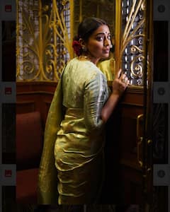 Shriya Saran Looks Elegant In Grey And Gold Saree. See Pics