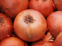 Onion Benefits : डोळ्यांची दृष्टी ते निरोगी शरीर, 'हे' आहेत कांद्याचे 5 फायदे