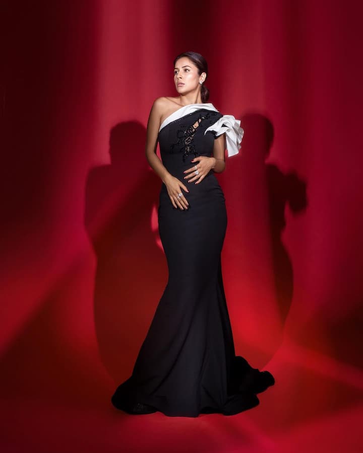 The Bigg Boss 13 contestant attended the event in a a black one-shoulder gown. She also posted her pictures on Instagram. (Image: Instagram)