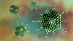 Adenovirus: বাংলায় ক্রমশ বাড়ছে অ্যাডিনো দাপট, মারণ রোগ রুখতে নয়া নির্দেশিকা জারি