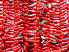 Red Chilli Rate : धर्माबादमध्ये मिरची उत्पादनात वाढ, दराची 'लाली' कायम