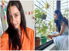 Shraddha Kapoorનું ડ્રીમ હાઉસ છે અત્યંત સુંદર, જુઓ અંદરની તસવીરો