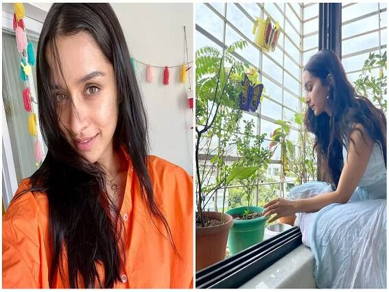 Shraddha Kapoor House Inside Photos: ‘તુ જુઠ્ઠી મે મક્કાર’અભિનેત્રી શ્રદ્ધા કપૂર ઘરે સમય પસાર કરવાનું પસંદ કરે છે. અભિનેત્રી ઘણીવાર સોશિયલ મીડિયા પર તેના ભવ્ય ઘરની ઝલક બતાવે છે.